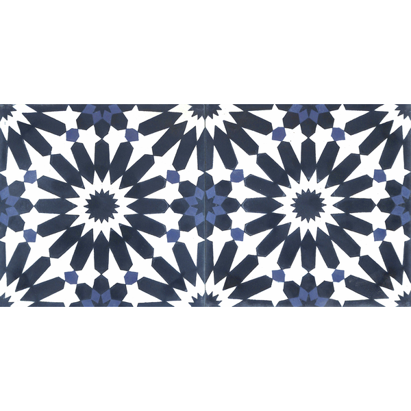 V20-395-(100,4011,4055)c_5